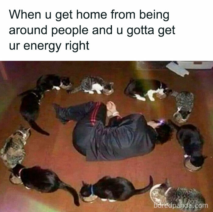 Person lying on the floor surrounded by cats eating, a cute and funny cat meme about recharging energy at home.