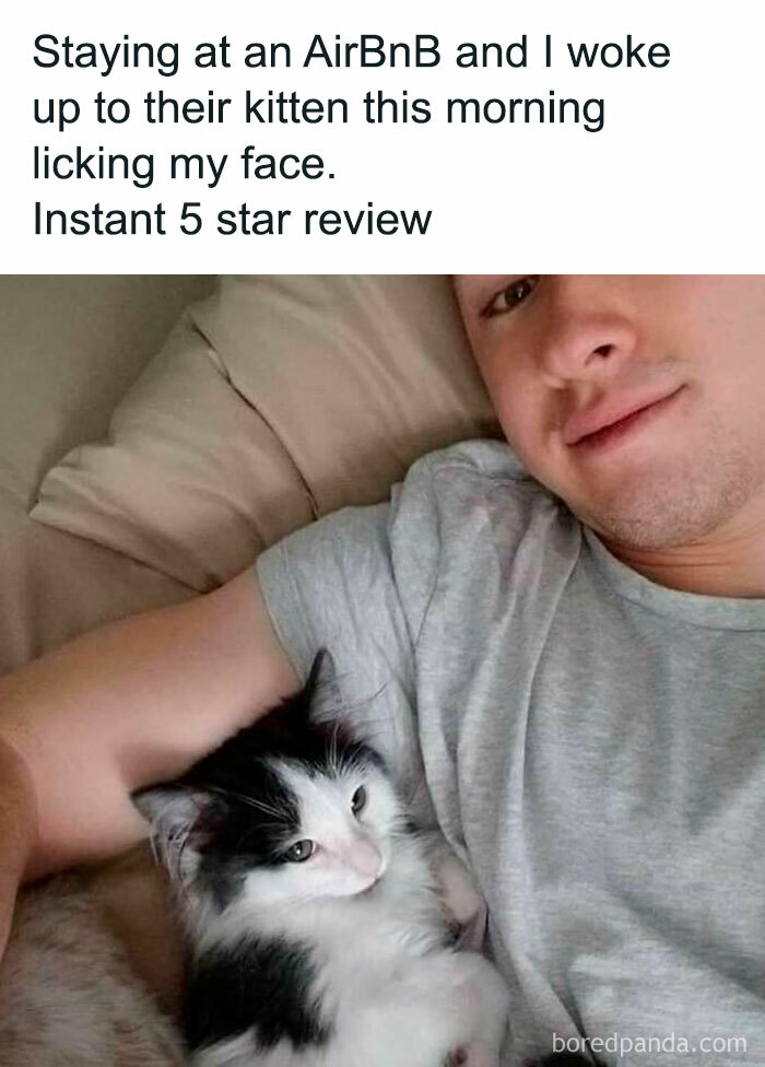 Man lying on a bed with a black and white kitten licking his face, illustrating cute and funny cat memes.