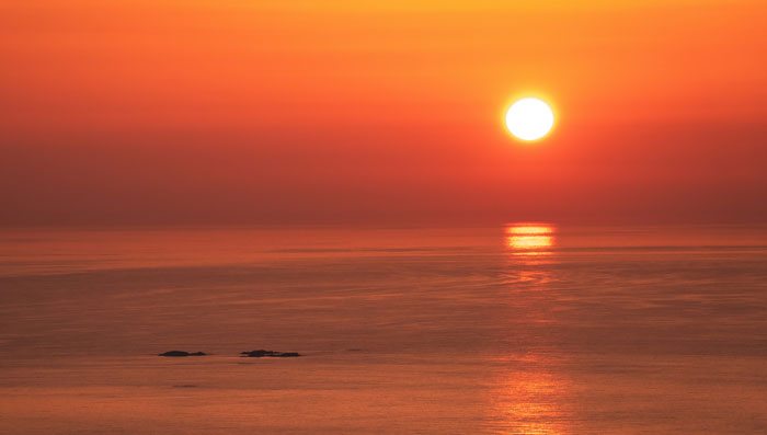 40 Hilarious Instances Of People Being Shockingly Unaware Of Common Knowledge