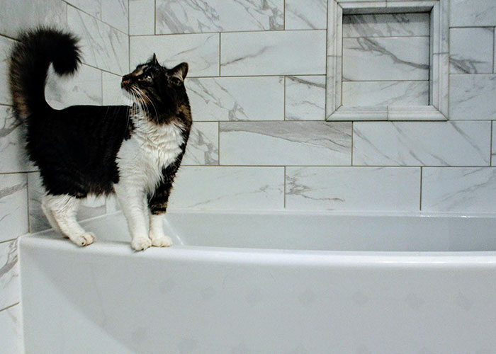 Black and white cat stretching on bathtub edge with marble tile wall, illustrating bizarre cat hacks owners discovered that work.