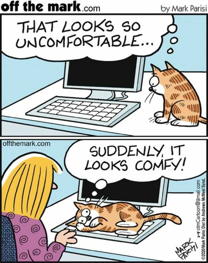 Cartoon showing a cat changing a computer keyboard from uncomfortable to comfy, illustrating everyday life humor.