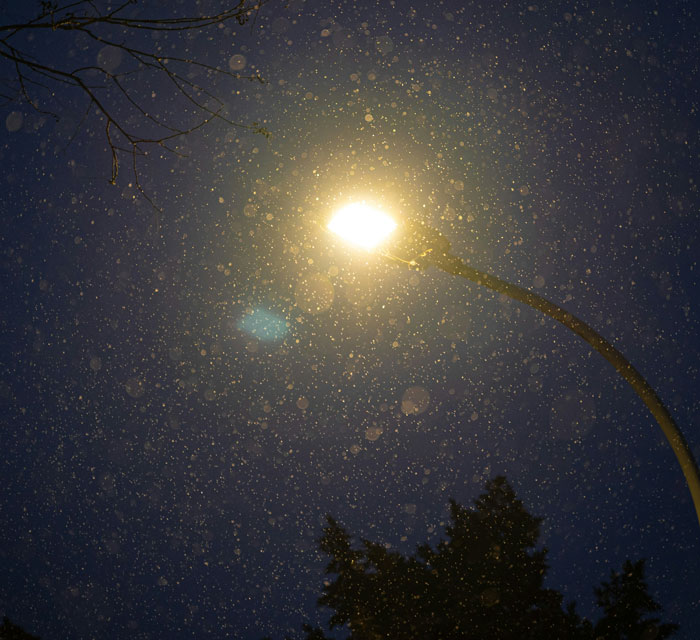 Streetlight glowing at night with snowflakes falling, representing stories of cruel people others have met.