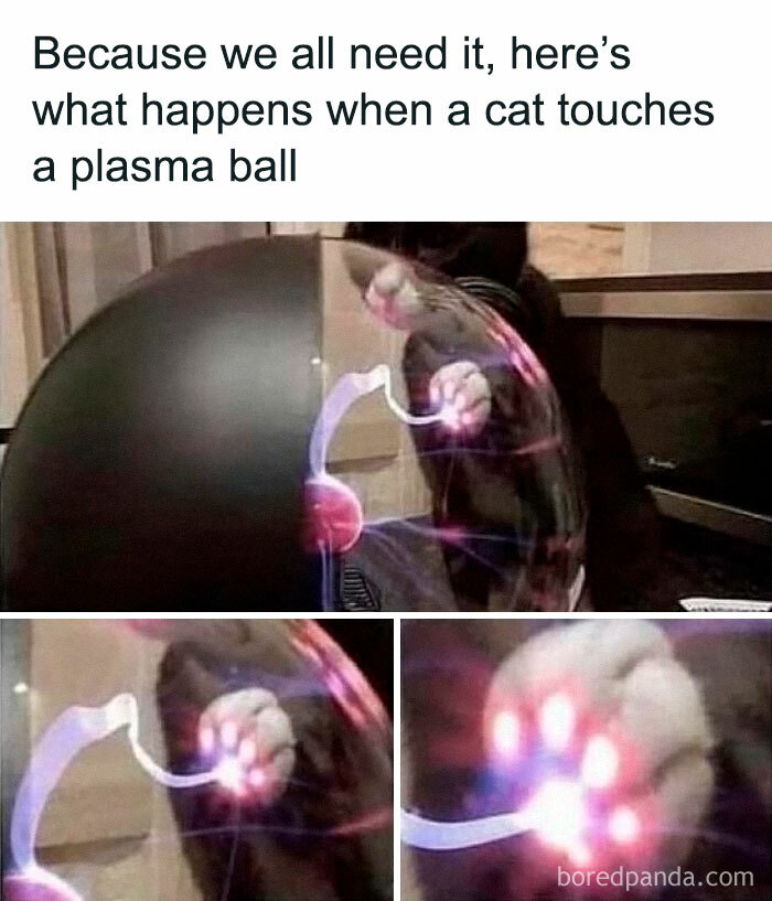 Cat paw touching a plasma ball with electric streams highlighting the interaction, showcasing viral cat memes humor.