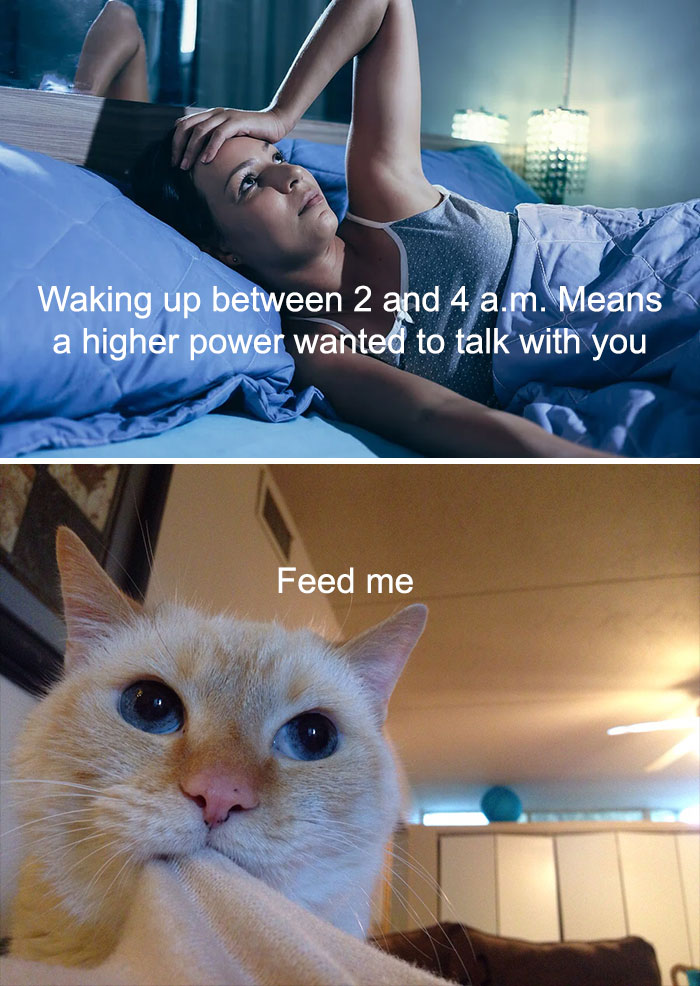 Woman lying awake at night with a close-up of a cat demanding food, featuring cat meme therapy for cat lovers.