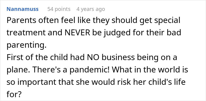 Comment discussing passenger confronting mom after toddler meltdown on a plane during pandemic, criticizing parenting choices.