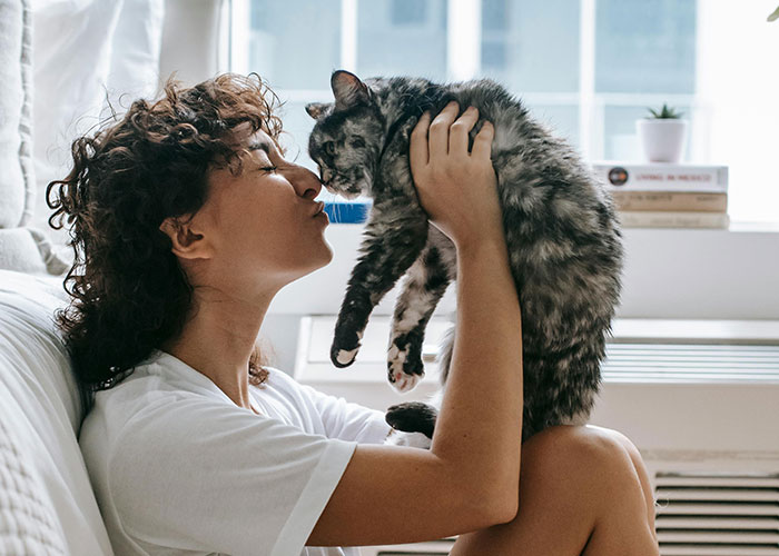 Woman holding and kissing her gray tabby cat indoors, demonstrating bizarre cat hacks owners discovered that actually work.