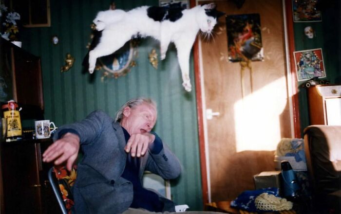 Elderly man in a gray coat reacting to a black and white cat midair, capturing the beauty and wisdom of old age.