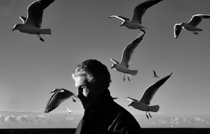 Black and white street photo of an elderly man surrounded by seagulls, capturing the beauty and wisdom of old age.