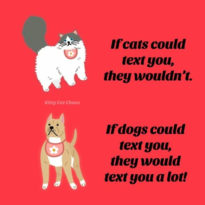 Cartoon cat and dog with humorous text highlighting differences, perfect for cat meme therapy to brighten your day.