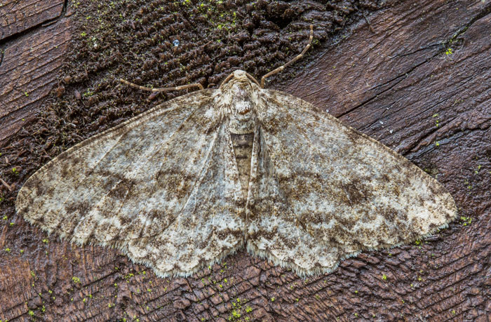 “Don’t Google It”: 45 People Reveal The Most Horrifyingly Cruel Person They’ve Ever Met