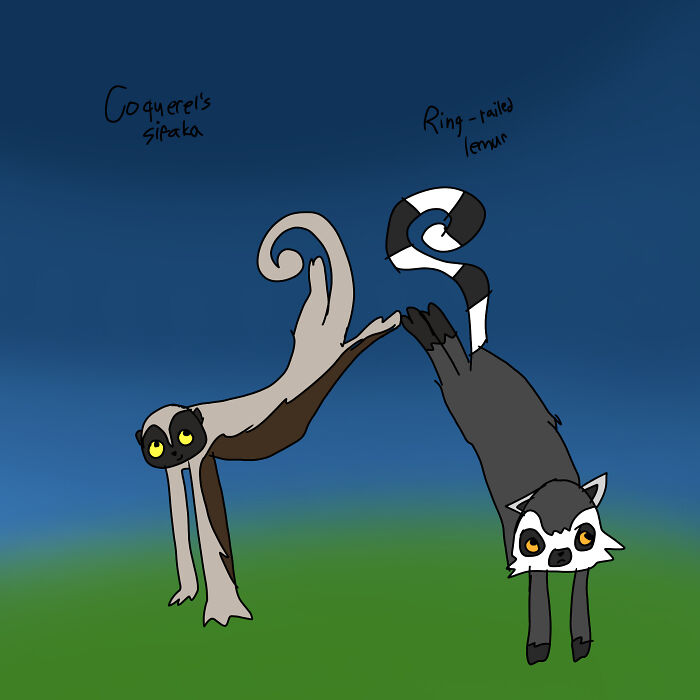 A Picture Of My 2 Favorite Primates!