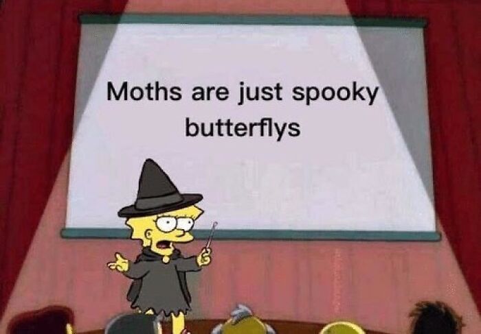 Cartoon character dressed as a witch presenting a humorous Halloween meme about moths as spooky butterflies for horror fans.