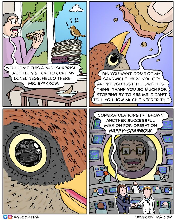 Comic panels by Dave Contra featuring a man feeding a sparrow with dark and twisted comic style elements.