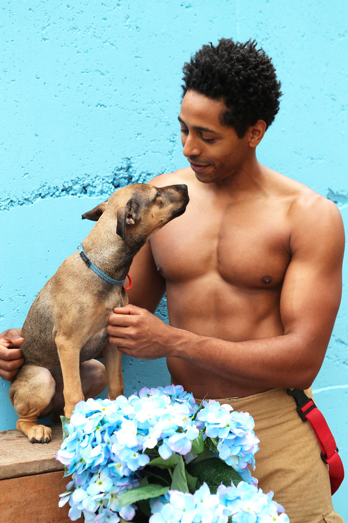 Shirtless firefighter beside a dog, sharing a tender moment with blue flowers in front against a blue wall background.