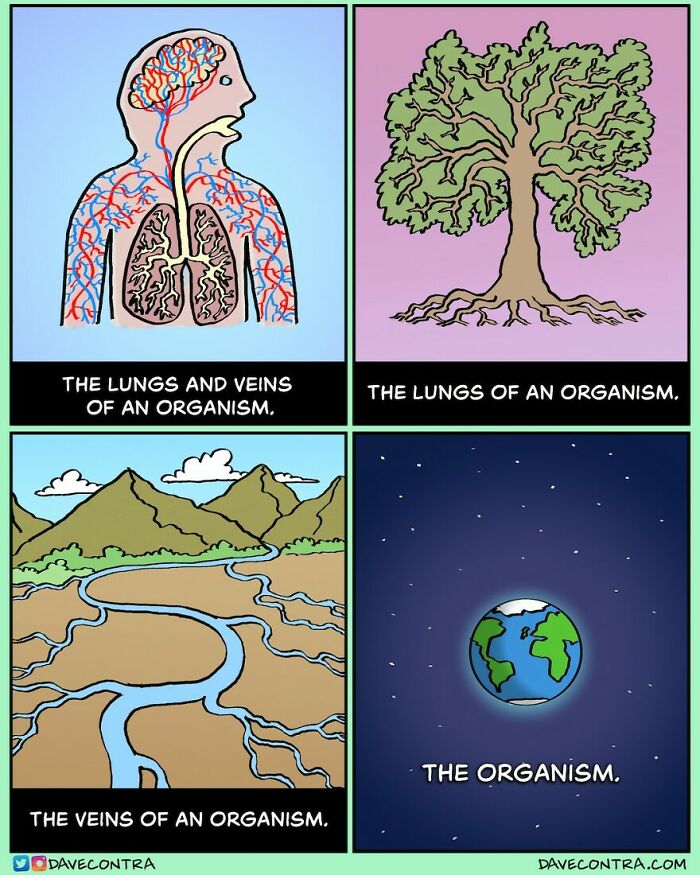 Dark and twisted comic by Dave Contra showing lungs, veins, tree, river, and Earth as parts of an organism in a creative illustration.