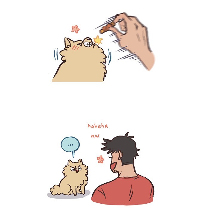 Illustration by Malaysian artist showing a fluffy dog sleeping and then alert with crinkle sounds, relatable life moments.