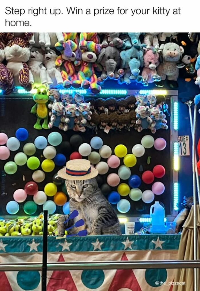 Cat meme therapy featuring a cat wearing a hat at a carnival game booth with colorful stuffed animal prizes.
