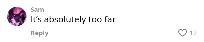 Comment by user Sam stating It's absolutely too far, related to viral video of strangers sleeping on cruise balcony debate.