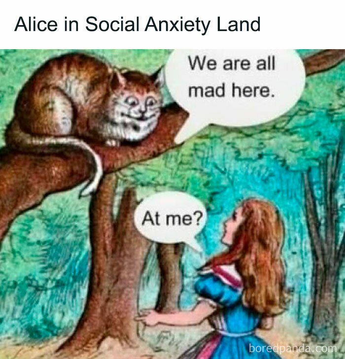 Humorous meme featuring Alice talking to the Cheshire cat, illustrating funny and random Thunder Dungeon memes.
