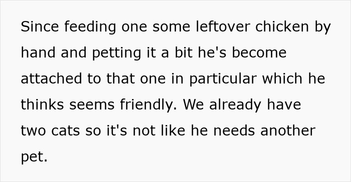 Text describing a man insisting on installing a cat flap while his wife suspects it&rsquo;s for his pet fox attachment.