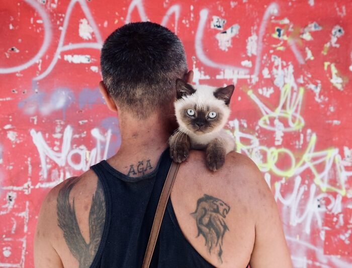 Man with tattoos carrying a Siamese cat on his shoulder on a graffiti-covered wall, life on Istanbul’s streets.