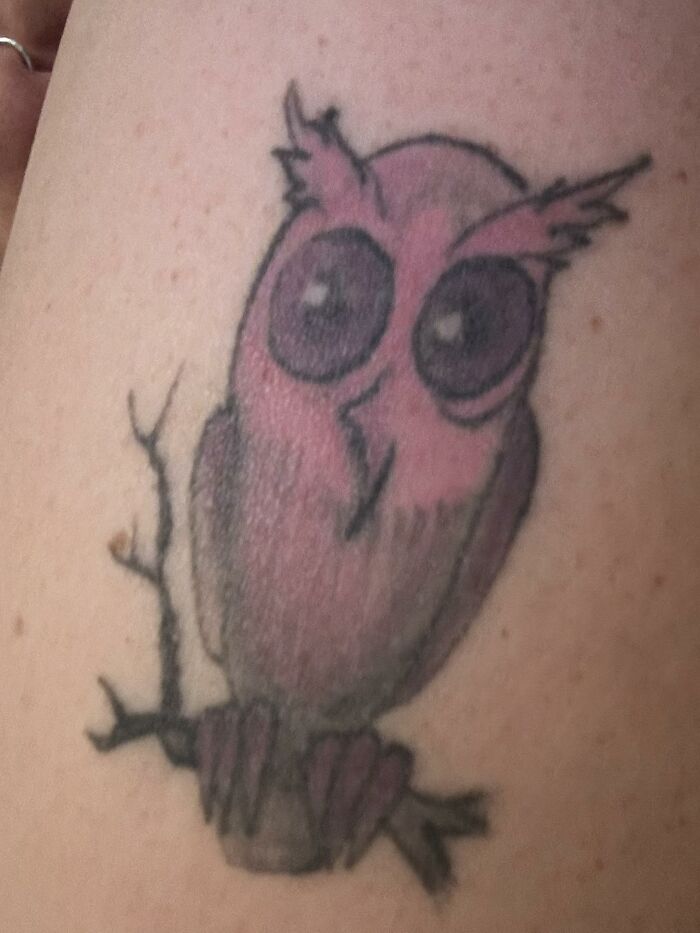 Faded owl tattoo with large eyes perched on a branch, an unusual design among tattoos allowed on bodies.