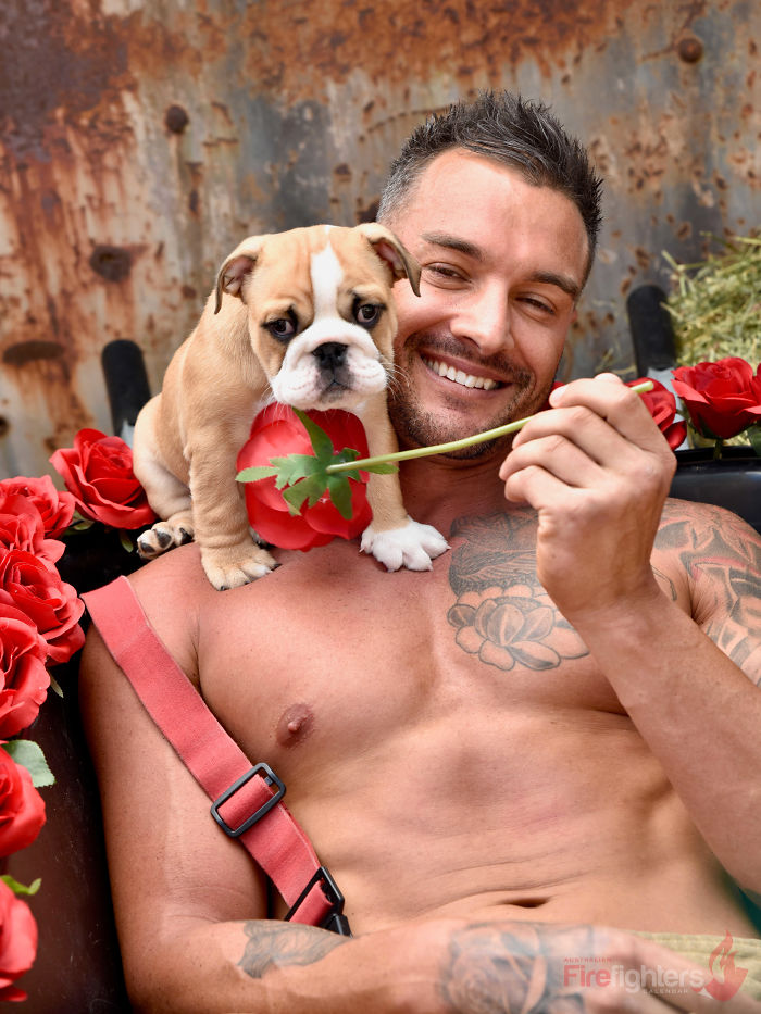 Shirtless heroic firefighter smiling with an adorable bulldog puppy on his shoulder, surrounded by red roses.