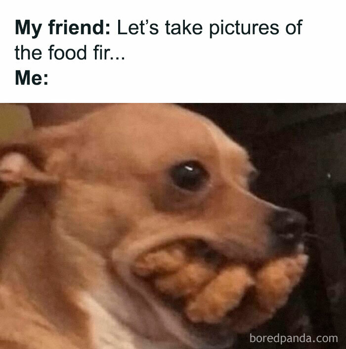 Small dog holding multiple chicken nuggets in its mouth, funny and random memes from Thunder Dungeon to make you laugh out loud.