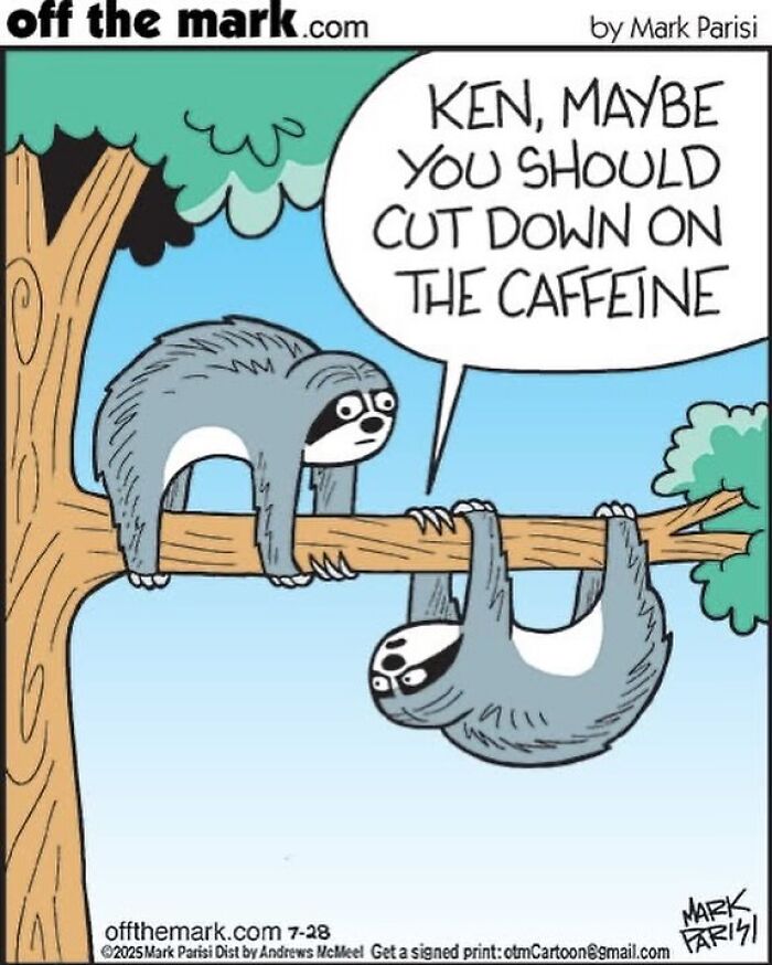 Cartoon of two sloths on a tree branch with one advising the other to cut down on caffeine in a humorous scene.