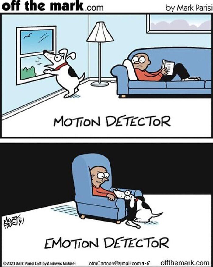 Cartoon showing a dog as a motion detector watching outside and as an emotion detector comforting a person indoors.