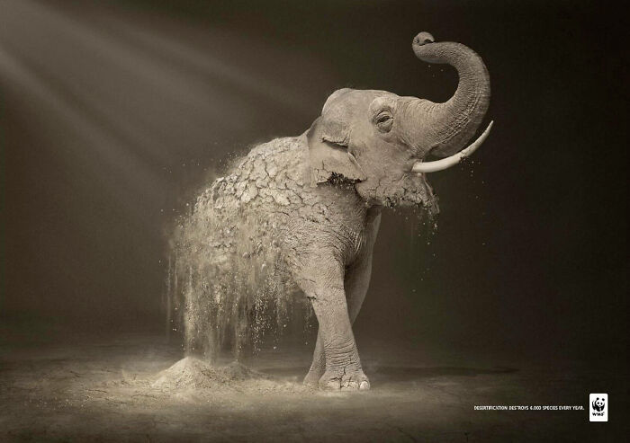 Elephant dissolving into dust in a desert-like setting, highlighting powerful imagery used in elephant ad campaigns.