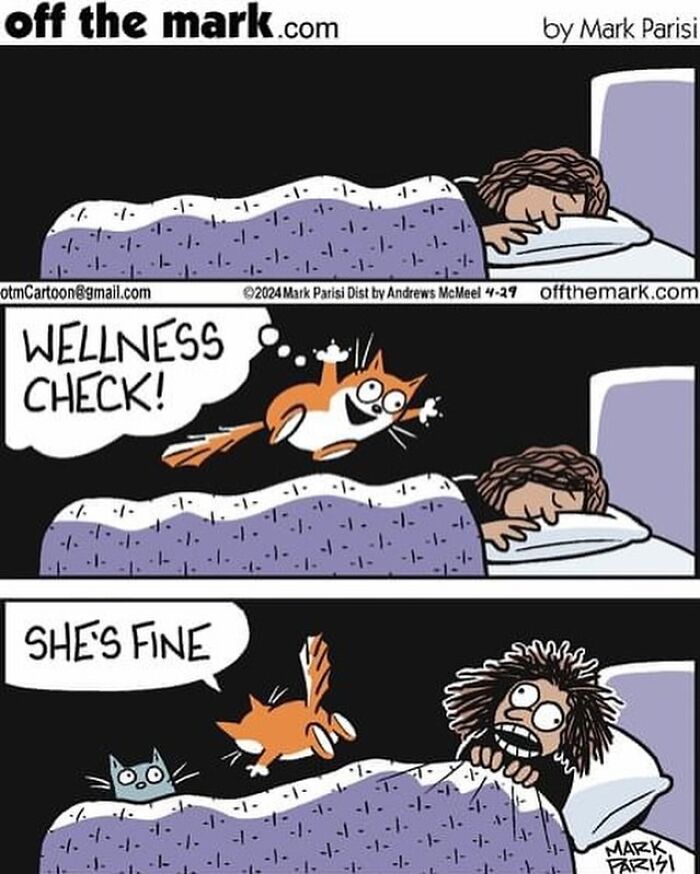 Cartoon cat humorously performing a wellness check on a sleeping person, illustrating everyday life hilarity.