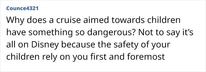 Comment highlighting concern about mom&rsquo;s behavior impacting child safety on Disney cruise ship leading to ocean plunge.