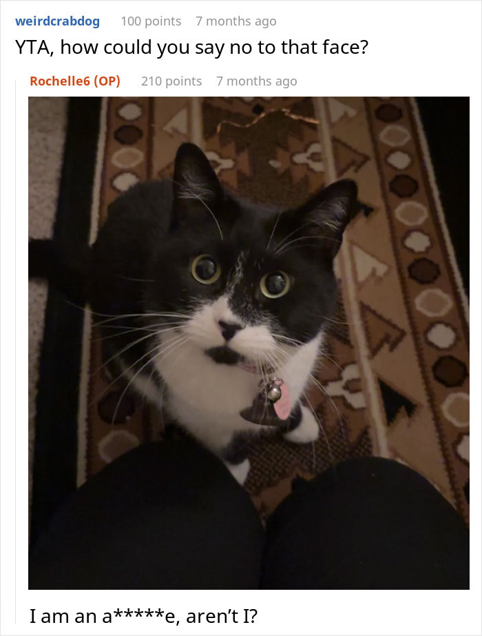 Black and white cat looking up with hopeful eyes as woman wonders if she&rsquo;s the jerk for not sharing her chicken sandwich.