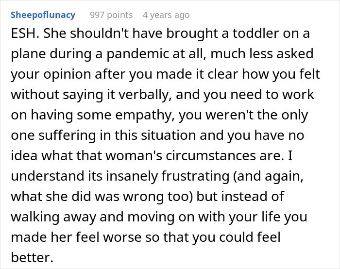 Reddit comment discussing passenger confrontation with mom after toddler meltdown on a plane and handling of the situation.