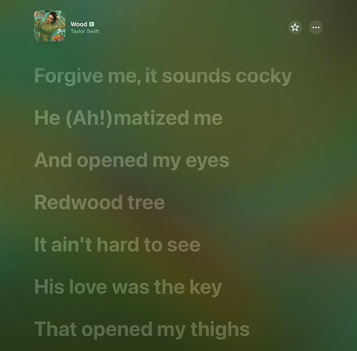 Lyrics from Taylor Swift's song Wood referencing Travis Kelce&rsquo;s manhood with a blurred green and brown background.