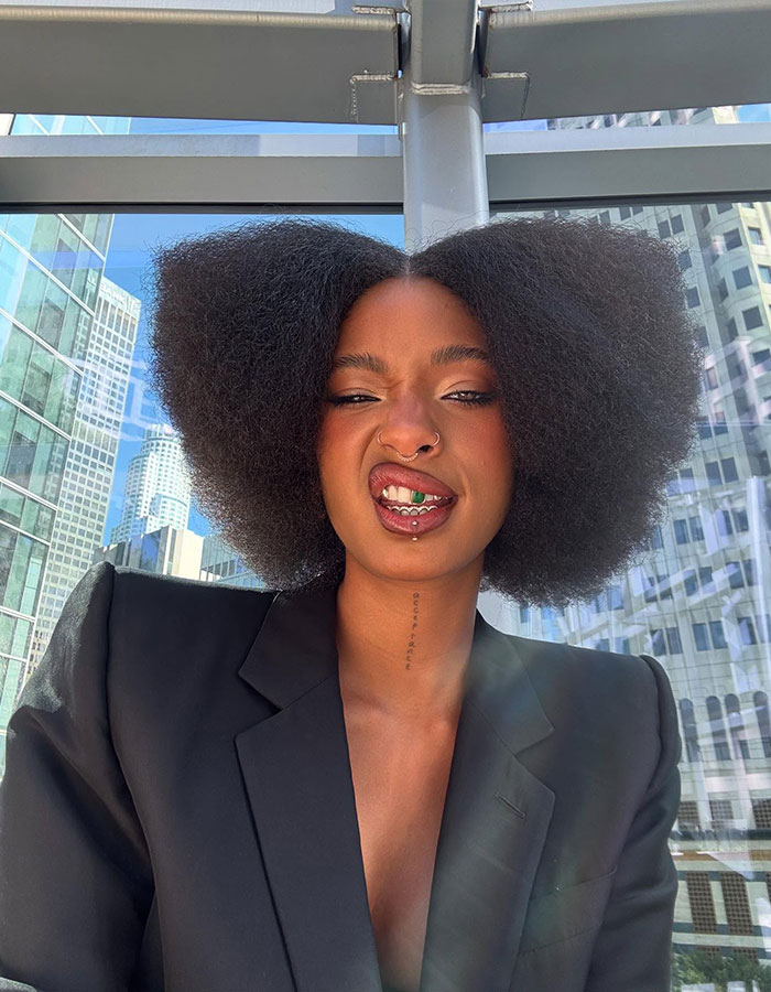 Fans Heartbroken After Will Smith Reveals Why Willow Shaved Her Head Mid-Tour