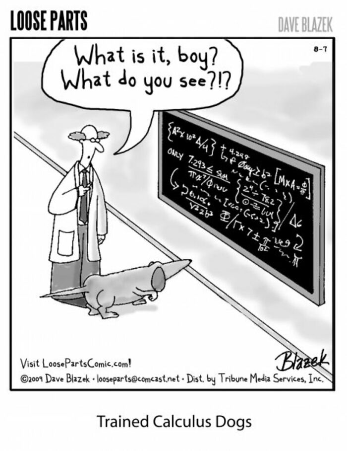 Absurd comic by Dave Blazek shows a dog looking at complex calculus on a chalkboard with a man asking what it sees.