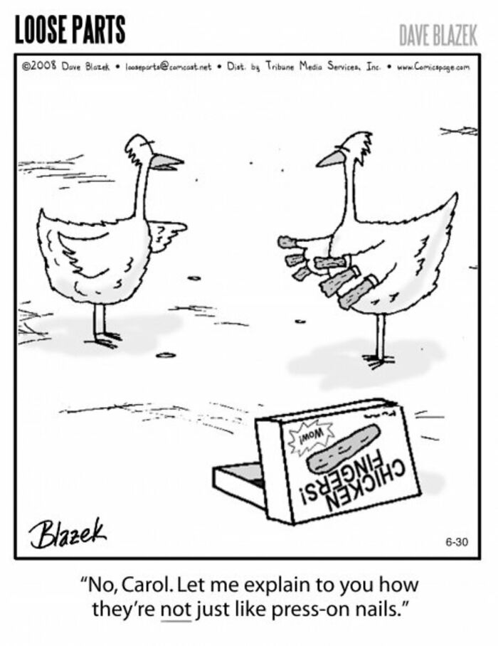 Cartoon by Dave Blazek showing two birds humorously discussing chicken fingers as if they were press-on nails.