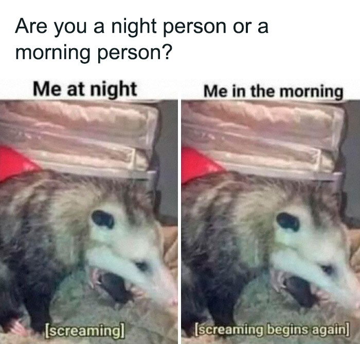 Funny and random Thunder Dungeon meme showing a screaming possum comparing night person vs morning person behavior.