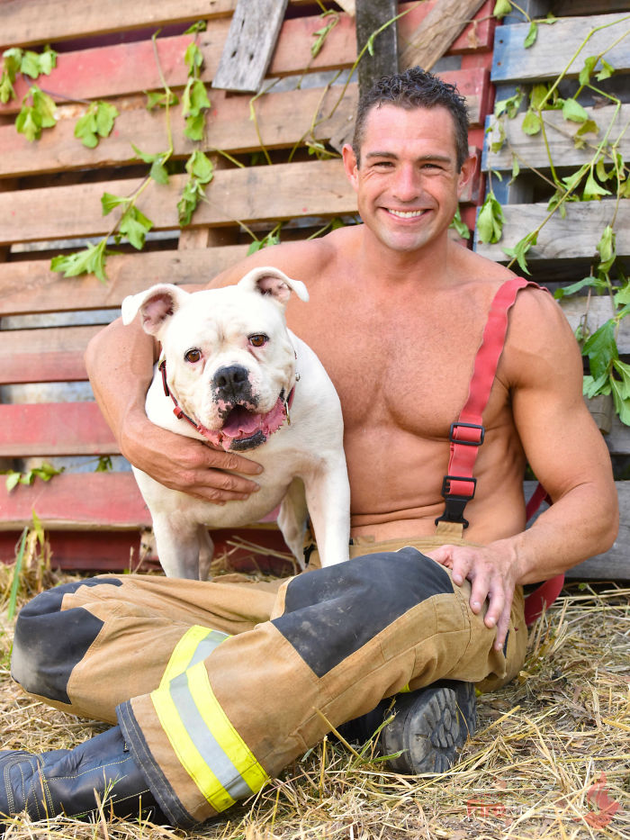 Shirtless firefighter in gear sitting on hay with an adorable white dog, showcasing heroic firefighters and dogs.
