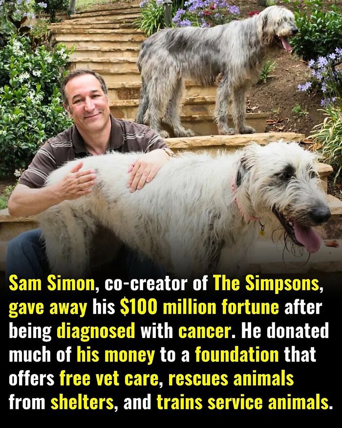 Man sitting on steps petting large dog, with another dog standing behind, representing adorable and wholesome posts.