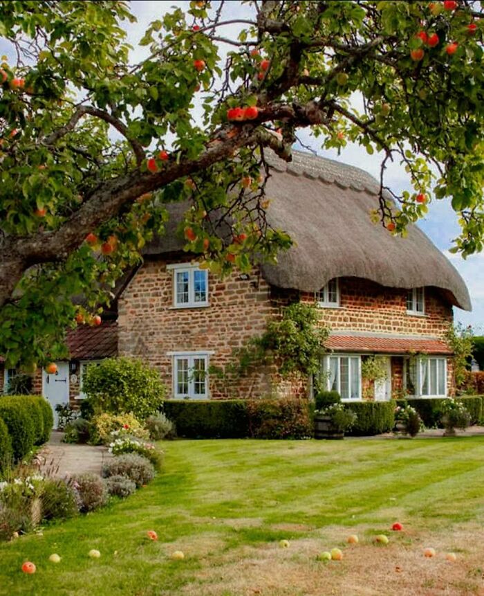 Charming dream cottage with a thatched roof surrounded by a lush garden and apple trees in a peaceful countryside setting
