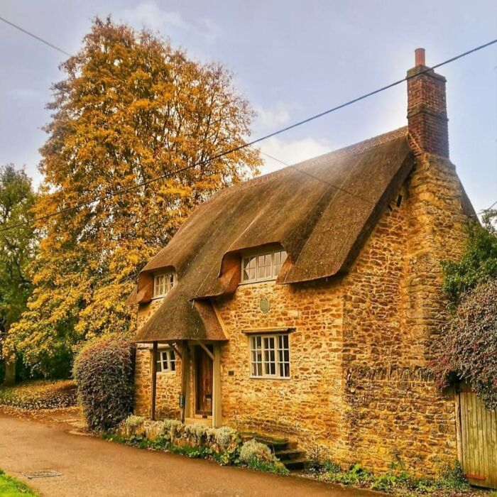 Idyllic dream cottage with a thatched roof surrounded by autumn trees and lush gardens in a peaceful rural setting.