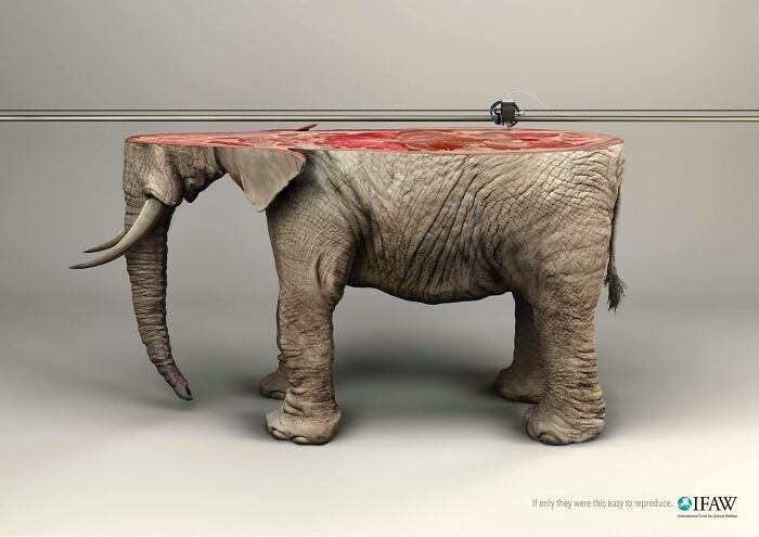 Elephant body sliced like meat being processed on a conveyor belt, creative ad campaign featuring elephants.