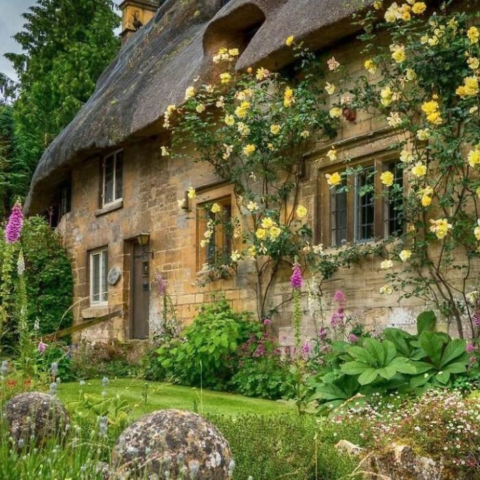 Stone dream cottage with yellow flowering vines and a lush garden in a peaceful rural setting.