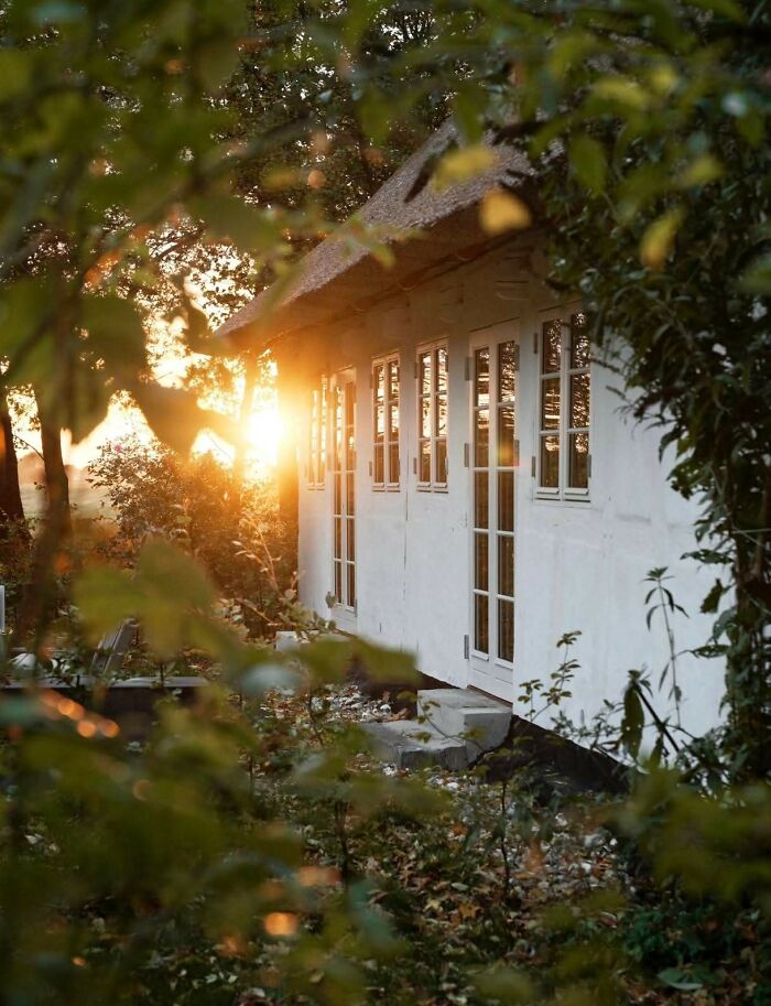 White cottage surrounded by garden greenery with sunlight shining through trees at sunset in a dream cottage setting