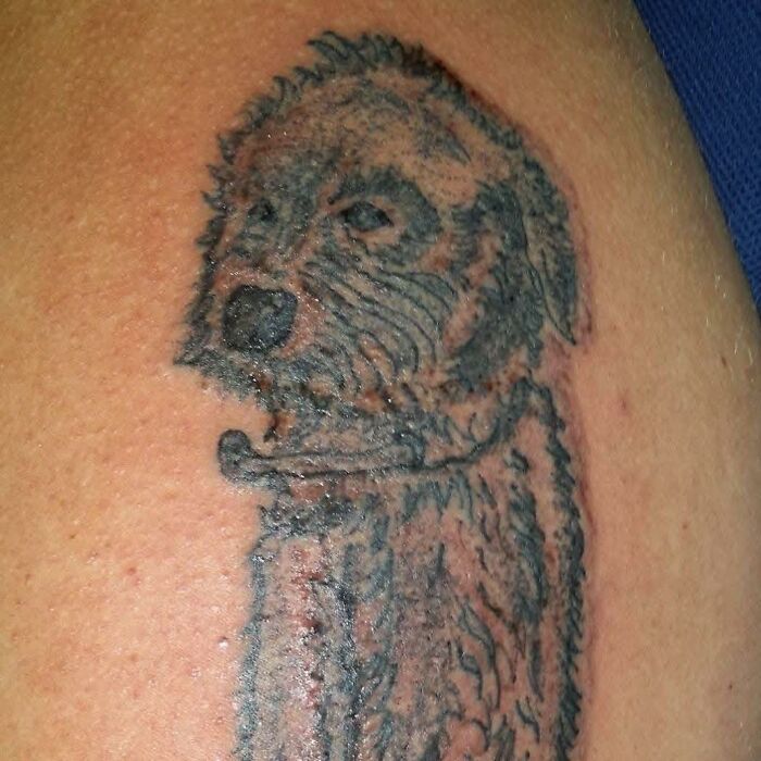 Faded dog tattoo on skin showing unusual design in a blurry style from unique tattoos collection.