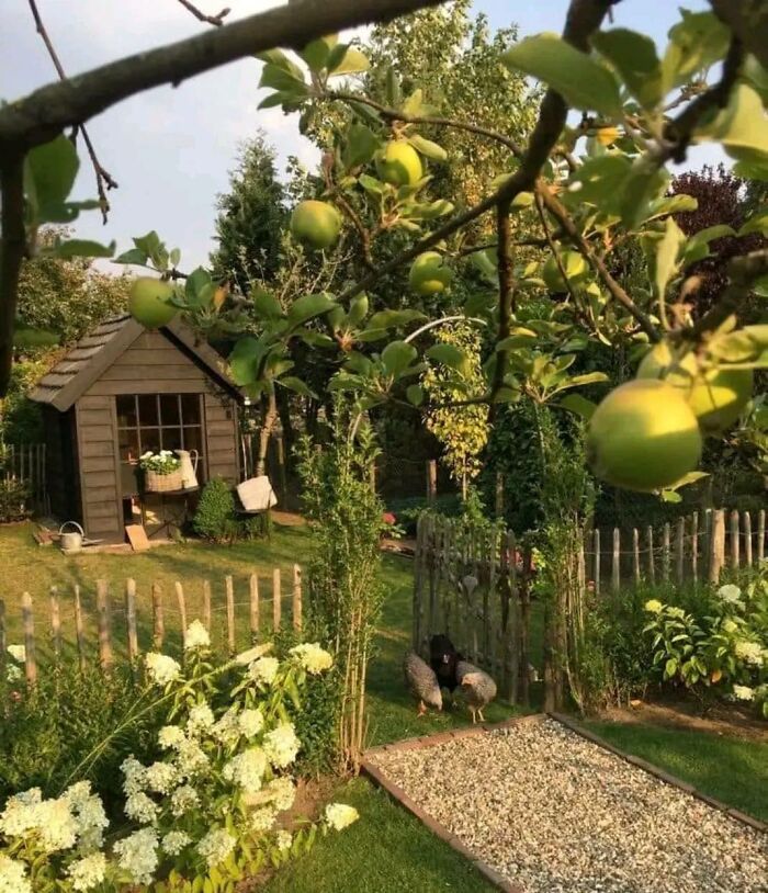 Idyllic dream cottages surrounded by lush gardens with fruit trees, flowers, and a peaceful countryside setting.