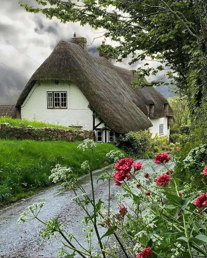 Thatched roof dream cottage surrounded by lush gardens and colorful flowers along a winding country path.